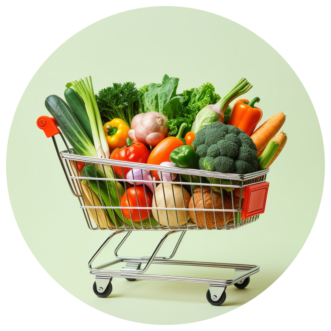 shopping trolley 01